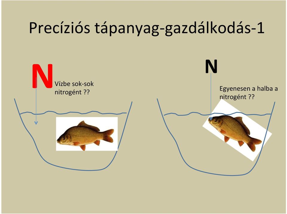 sok- sok nitrogént?