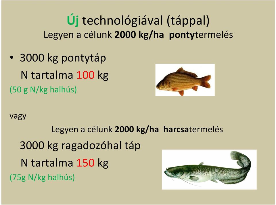 N/kg halhús) vagy Legyen a célunk 2000 kg/ha