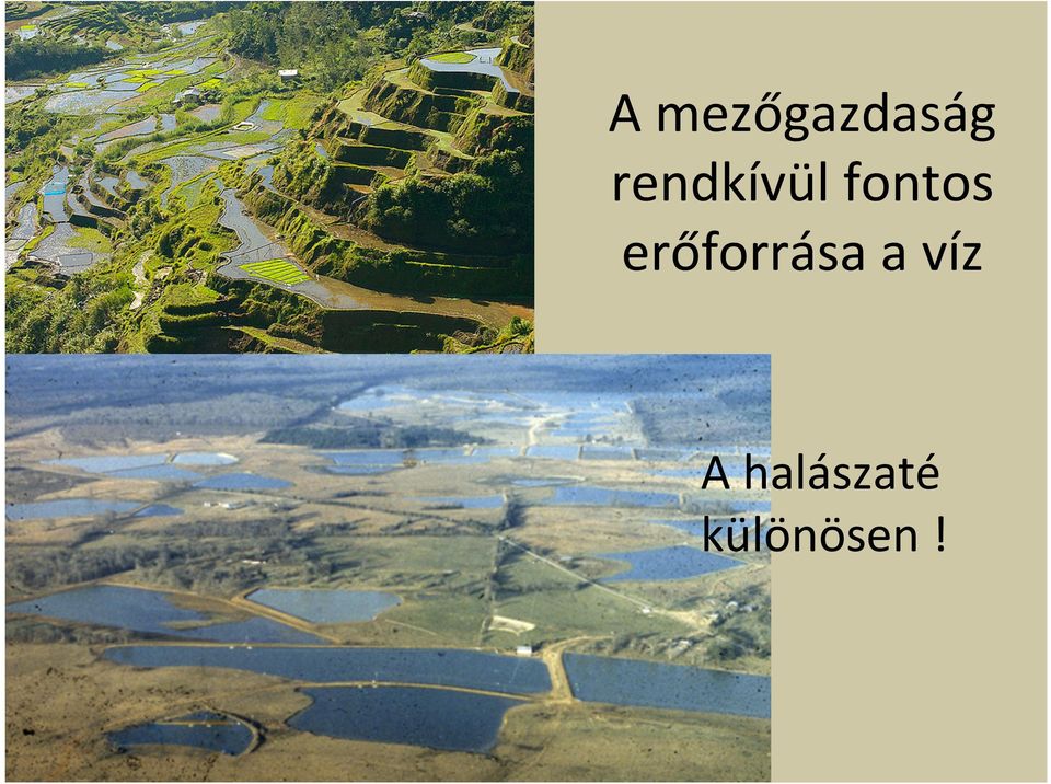 erőforrása a víz