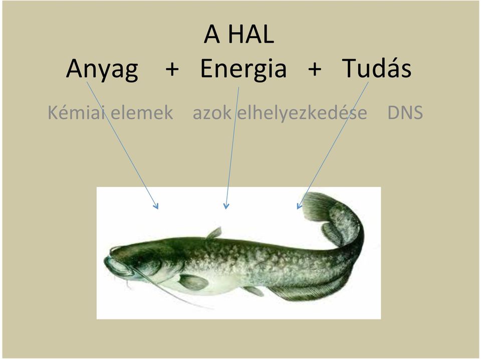 Kémiai elemek
