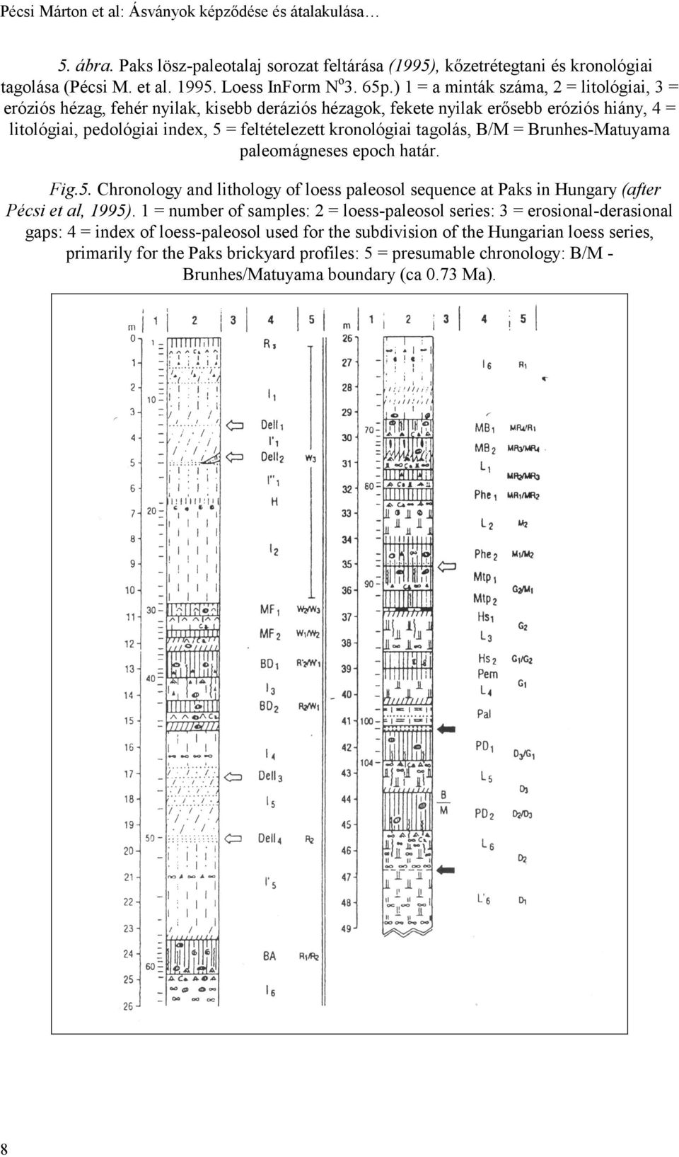 tagolás, B/M = Brunhes-Matuyama paleomágneses epoch határ. Fig.5. Chronology and lithology of loess paleosol sequence at Paks in Hungary (after Pécsi et al, 1995).
