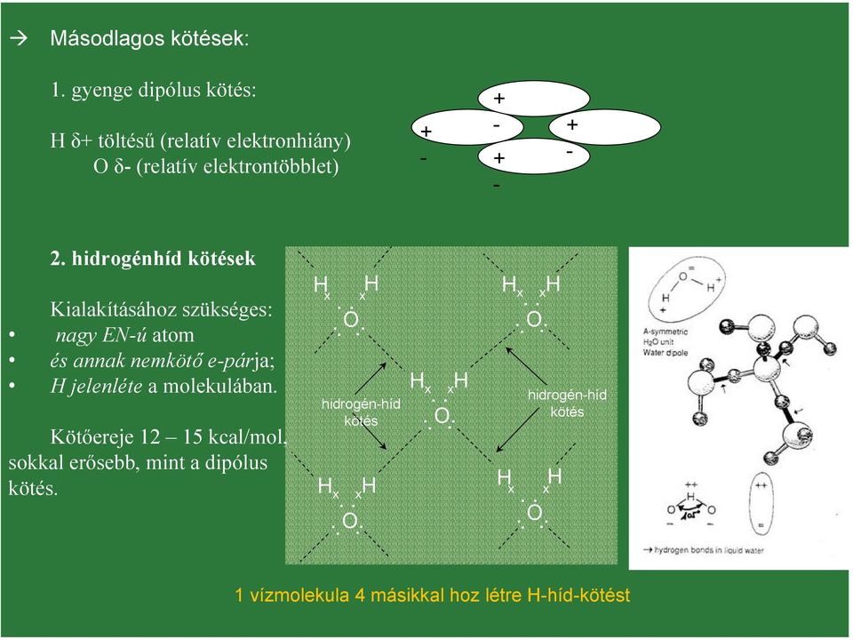 hidrogénhíd kötések Kialakításához szükséges: nagy EN-ú atom és annak nemkötő e-párja; H jelenléte a molekulában.