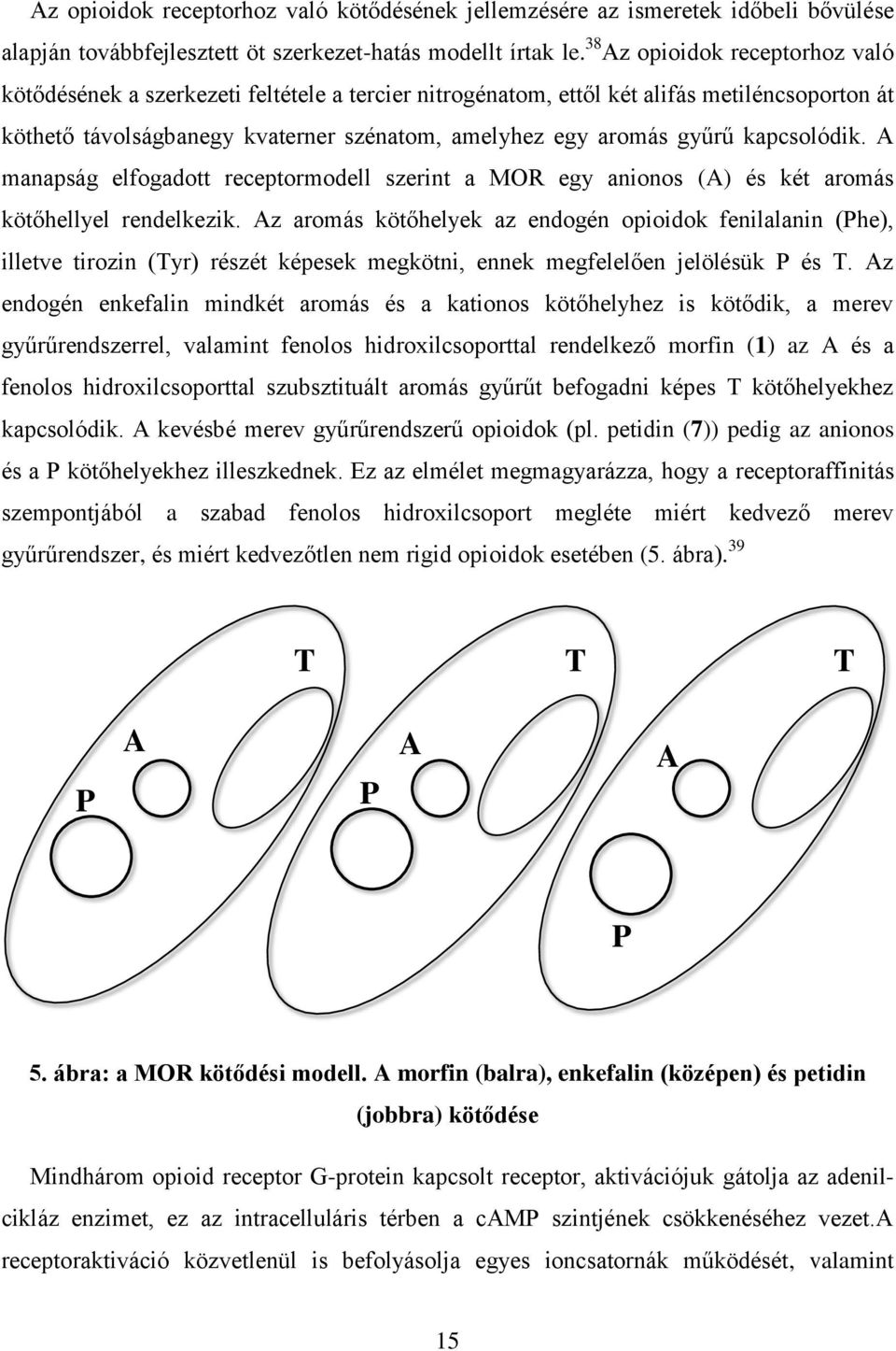 kapcsolódik. A manapság elfogadott receptormodell szerint a MOR egy anionos (A) és két aromás kötőhellyel rendelkezik.