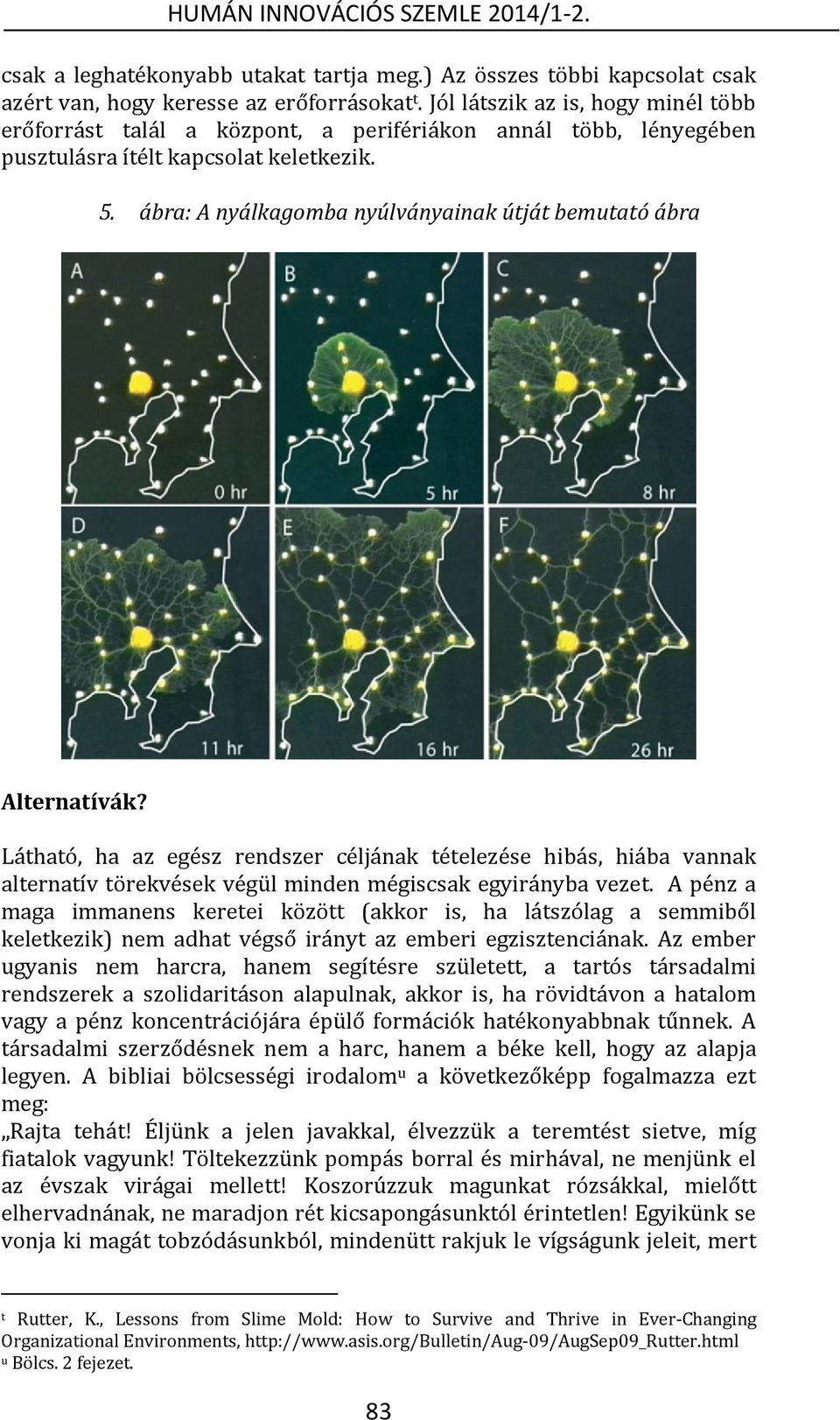 ábra: A nyálkagomba nyúlványainak útját bemutató ábra Alternatívák? Látható, ha az egész rendszer céljának tételezése hibás, hiába vannak alternatív törekvések végül minden mégiscsak egyirányba vezet.