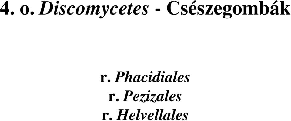 Phacidiales r.
