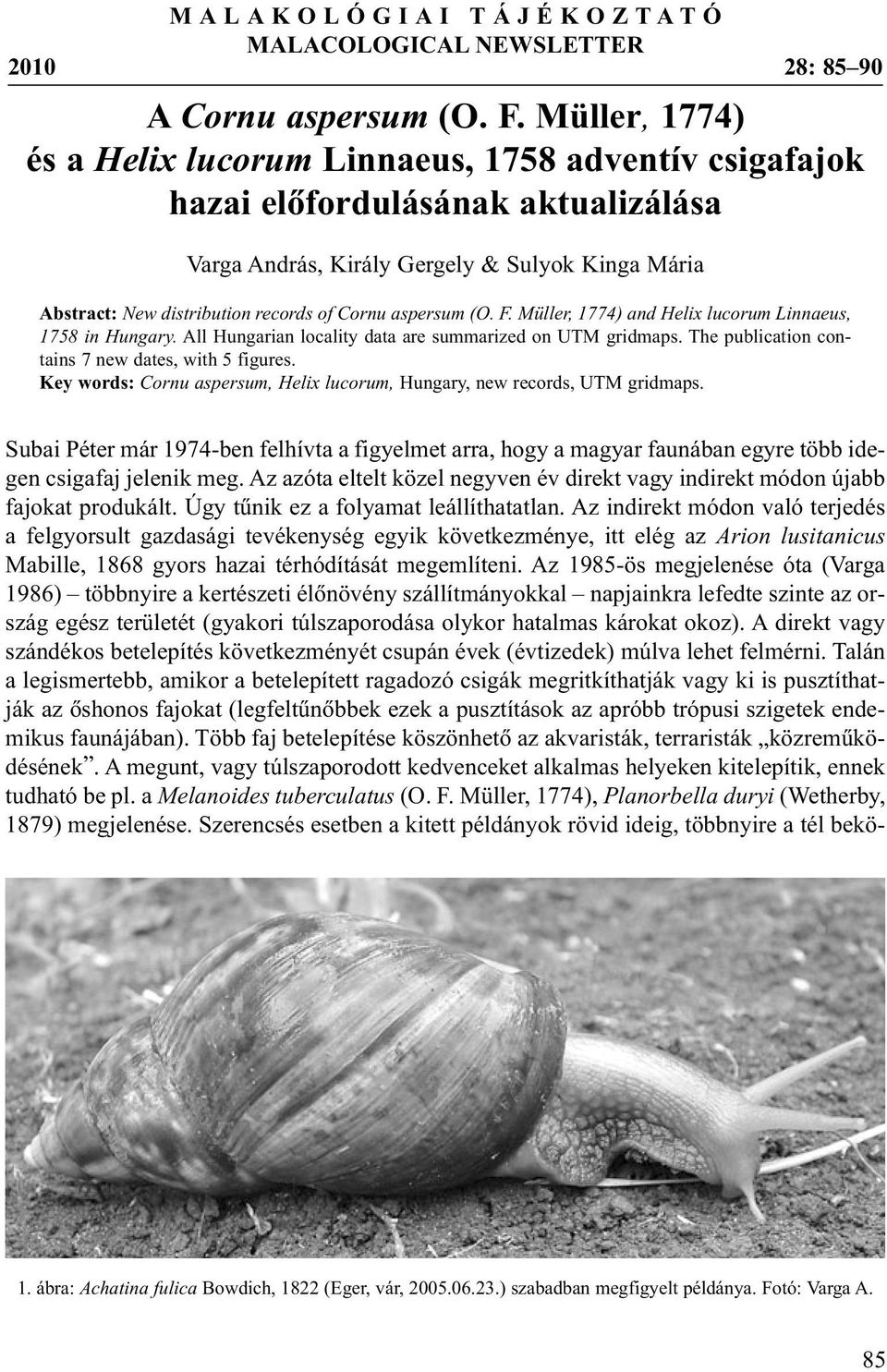 aspersum (O. F. Müller, 1774) and Helix lucorum Linnaeus, 1758 in Hungary. All Hungarian locality data are summarized on UTM gridmaps. The publication contains 7 new dates, with 5 figures.