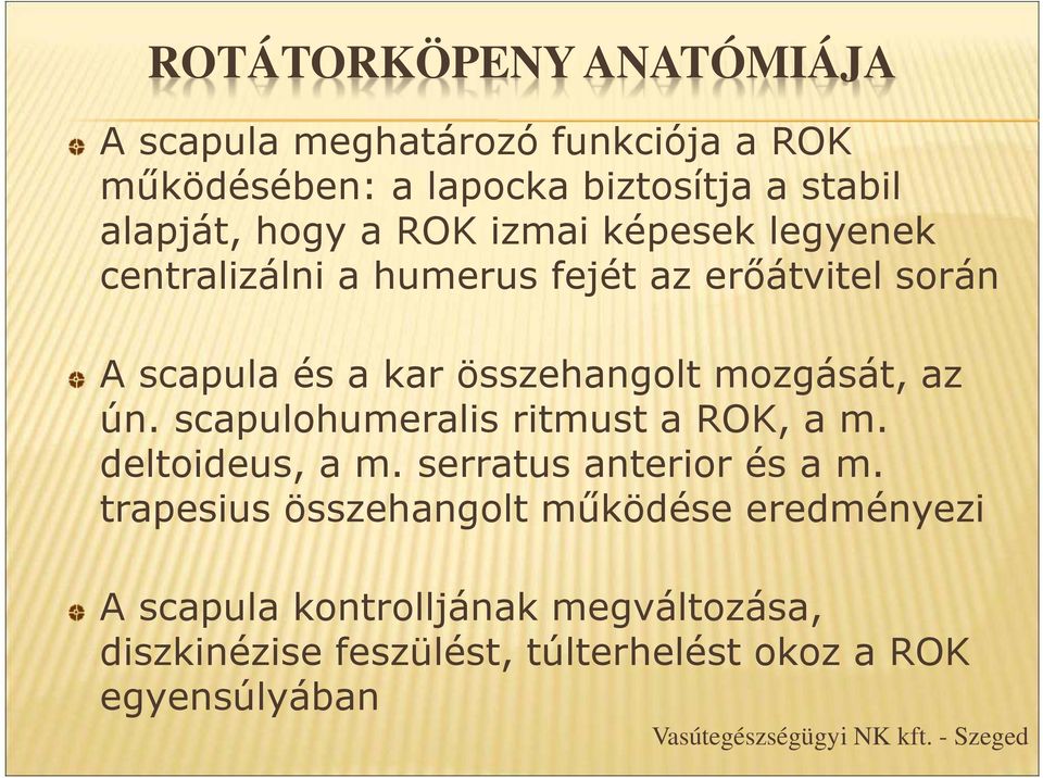 scapulohumeralis ritmust a ROK, a m. deltoideus, a m. serratus anterior és a m.