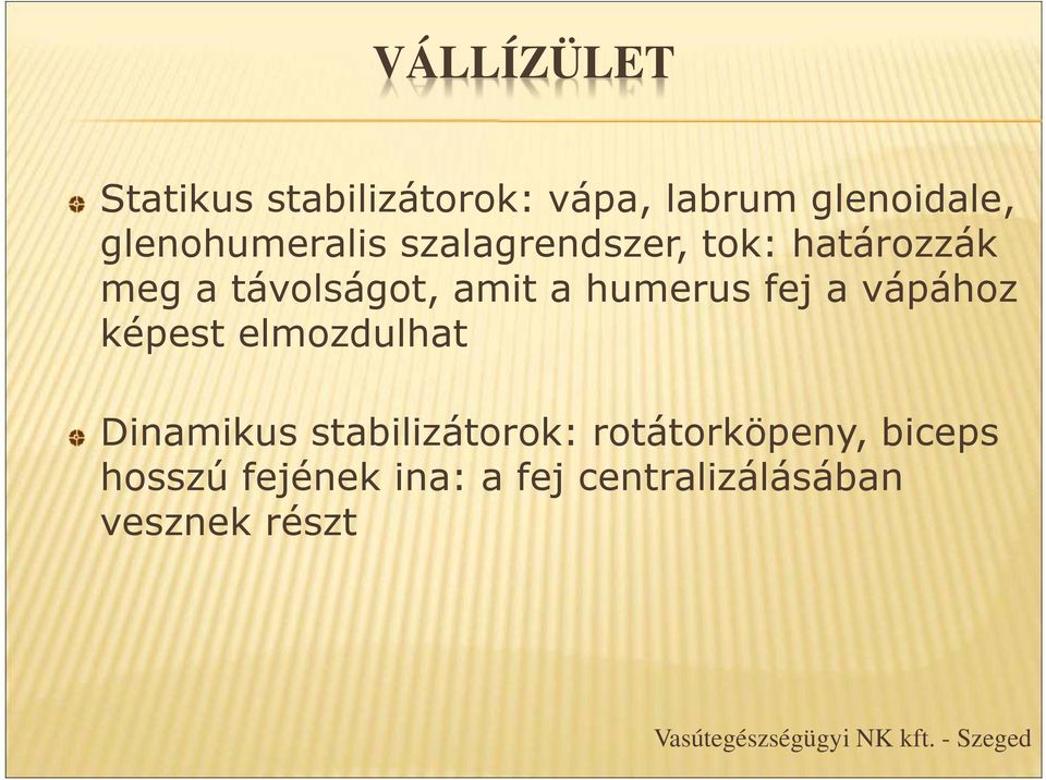 képest elmozdulhat Dinamikus stabilizátorok: rotátorköpeny, biceps hosszú