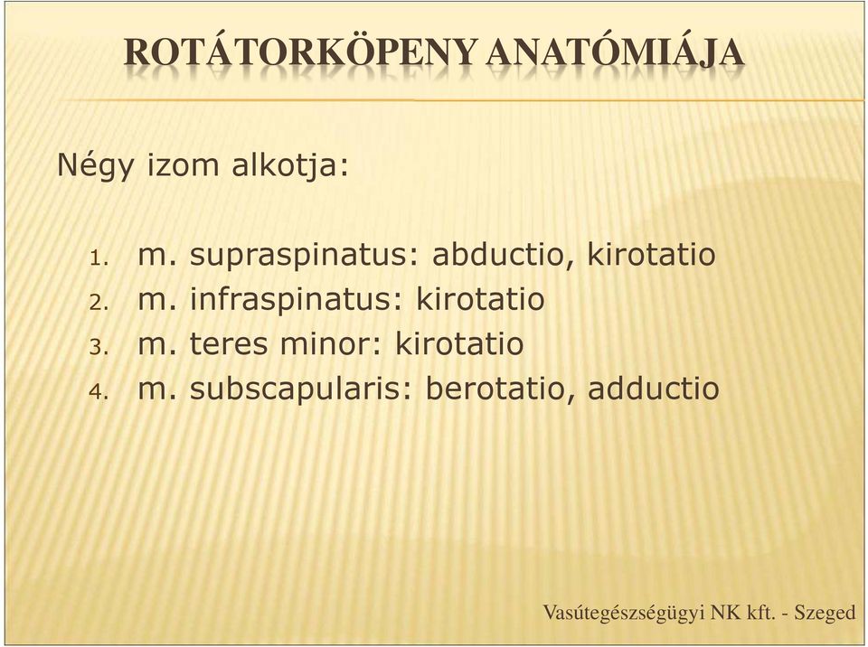 infraspinatus: kirotatio 3. m.