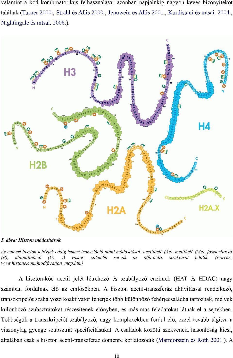 Az emberi hiszton fehérjék eddig ismert transzláció utáni módosításai: acetiláció (Ac), metiláció (Me), foszforiláció (P), ubiquitináció (U). A vastag sötétebb régiók az alfa-hélix struktúrát jelölik.