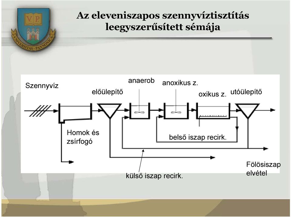 anaerob anoxikus z. oxikus z.