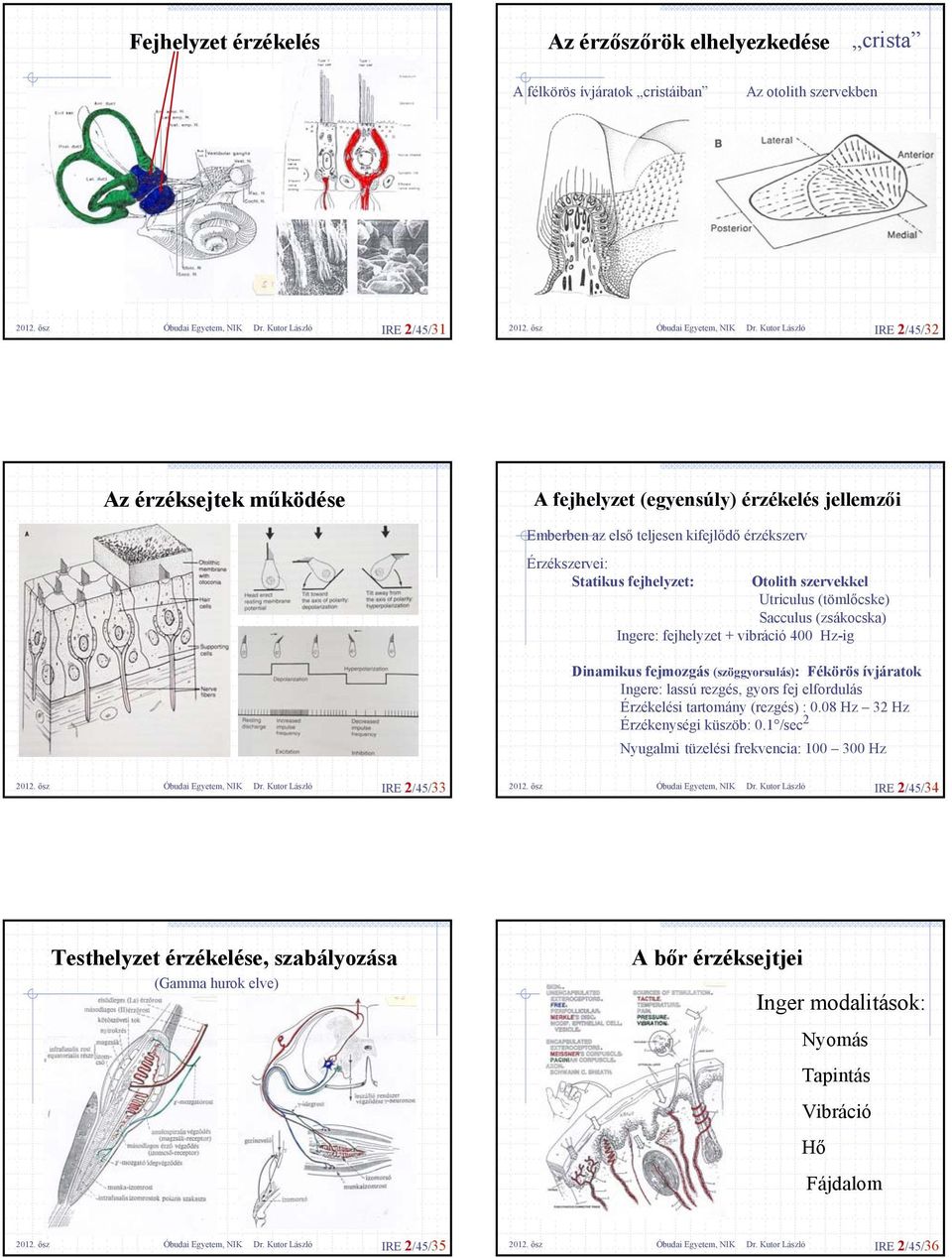 Dinamikus fejmozgás (szöggyorsulás): Fékörös ívjáratok Ingere: lassú rezgés, gyors fej elfordulás Érzékelési tartomány (rezgés) : 0.08 Hz 32 Hz Érzékenységi küszöb: 0.