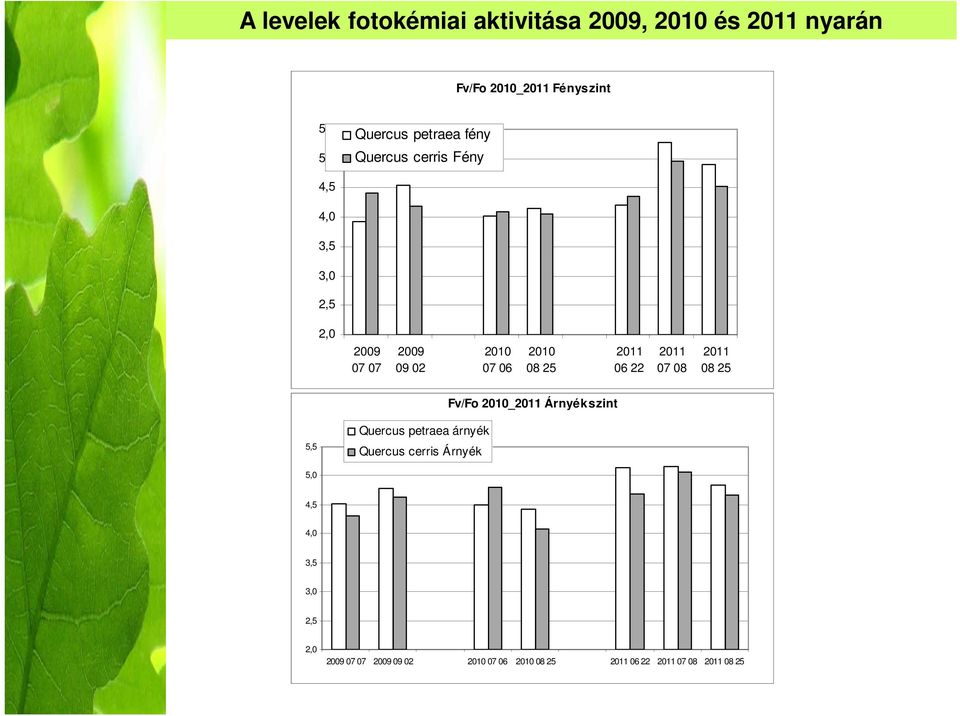 7 9 2 7 6 8 25 6 22 7 8 8 25 Fv/Fo 21_211 Árnyékszint 5,5 Quercus petraea árnyék