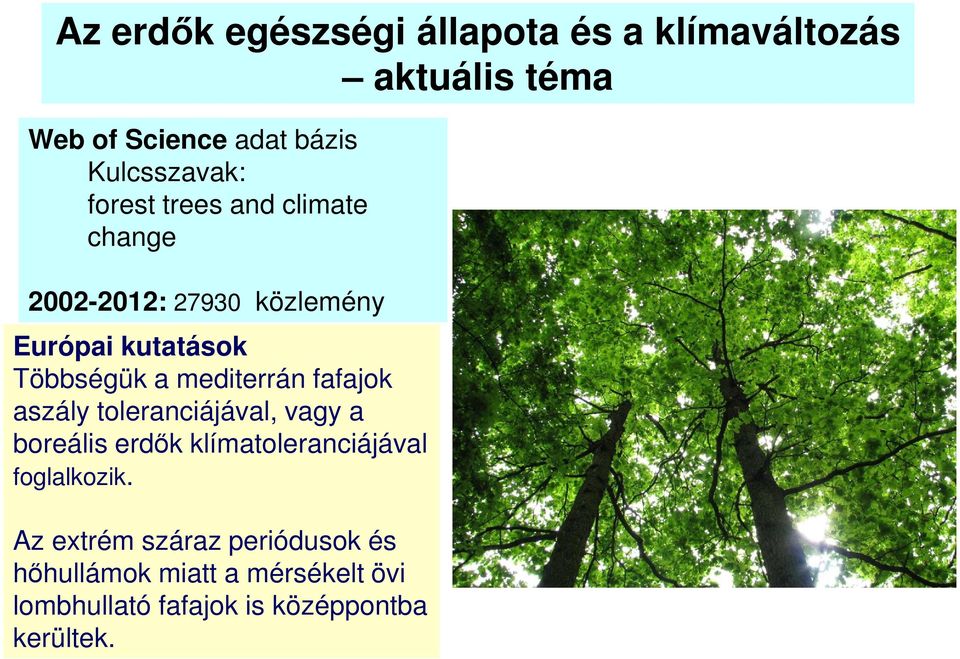 mediterrán fafajok aszály toleranciájával, vagy a boreális erdők klímatoleranciájával foglalkozik.