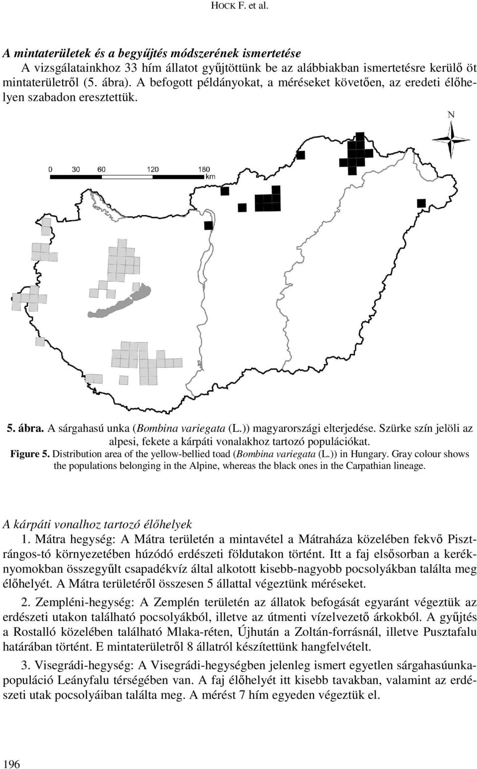 Szürke szín jelöli az alpesi, fekete a kárpáti vonalakhoz tartozó populációkat. Figure 5. Distribution area of the yellow-bellied toad (Bombina variegata (L.)) in Hungary.