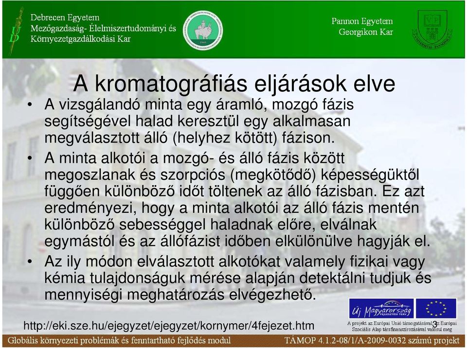 Ez azt eredményezi, hogy a minta alkotói az álló fázis mentén különbözı sebességgel haladnak elıre, elválnak egymástól és az állófázist idıben elkülönülve