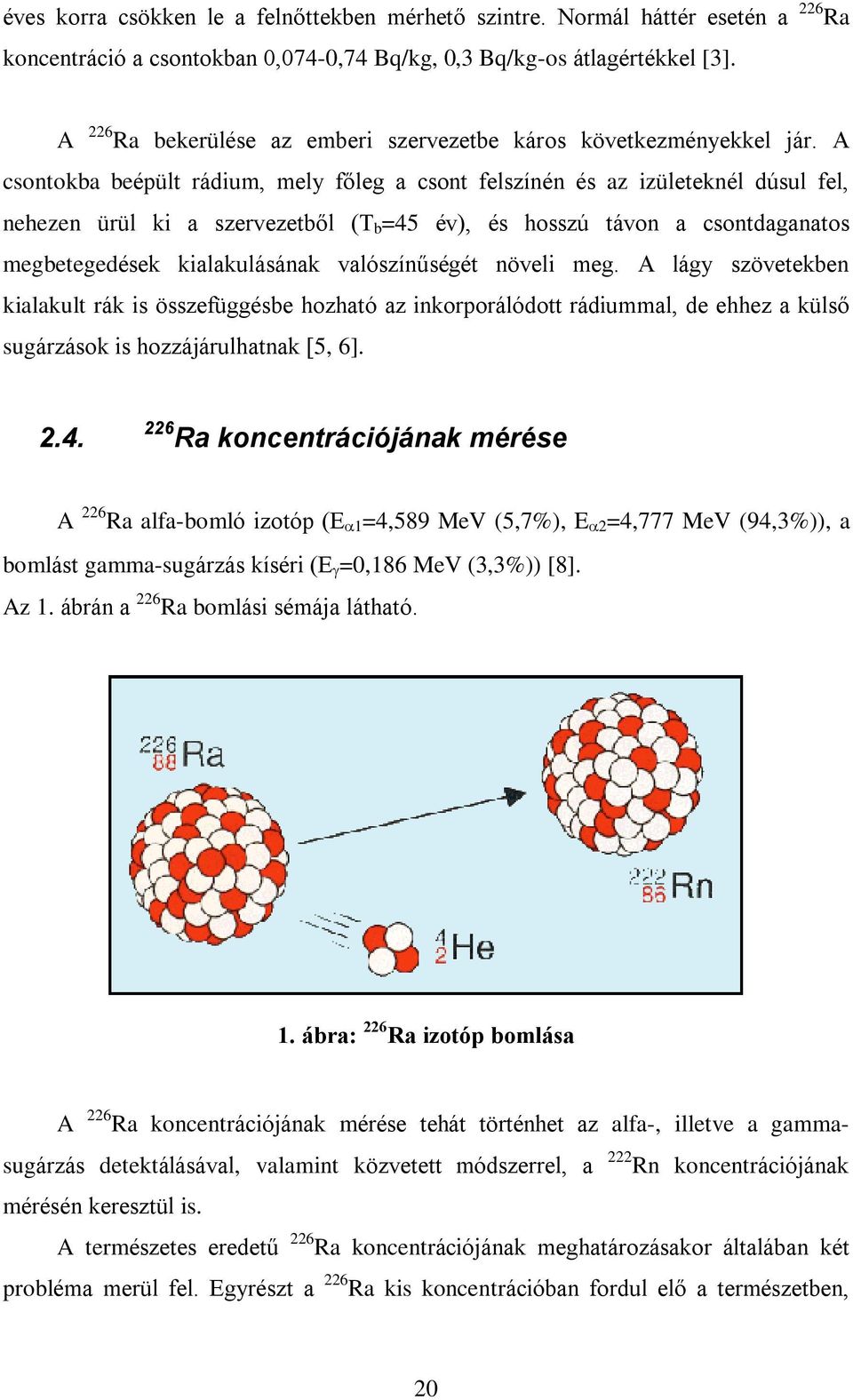 A csontokba beépült rádium, mely fõleg a csont felszínén és az izületeknél dúsul fel, nehezen ürül ki a szervezetbõl (T b =45 év), és hosszú távon a csontdaganatos megbetegedések kialakulásának