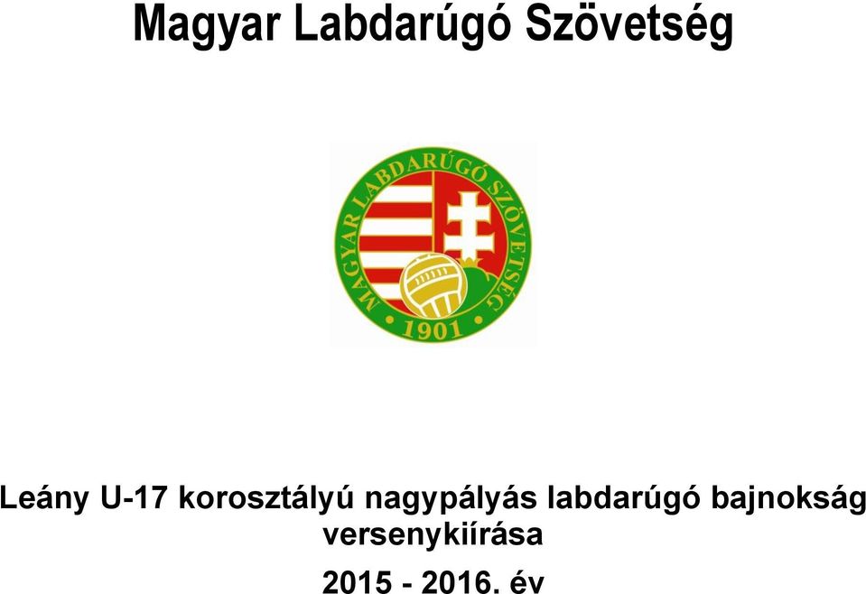 nagypályás labdarúgó