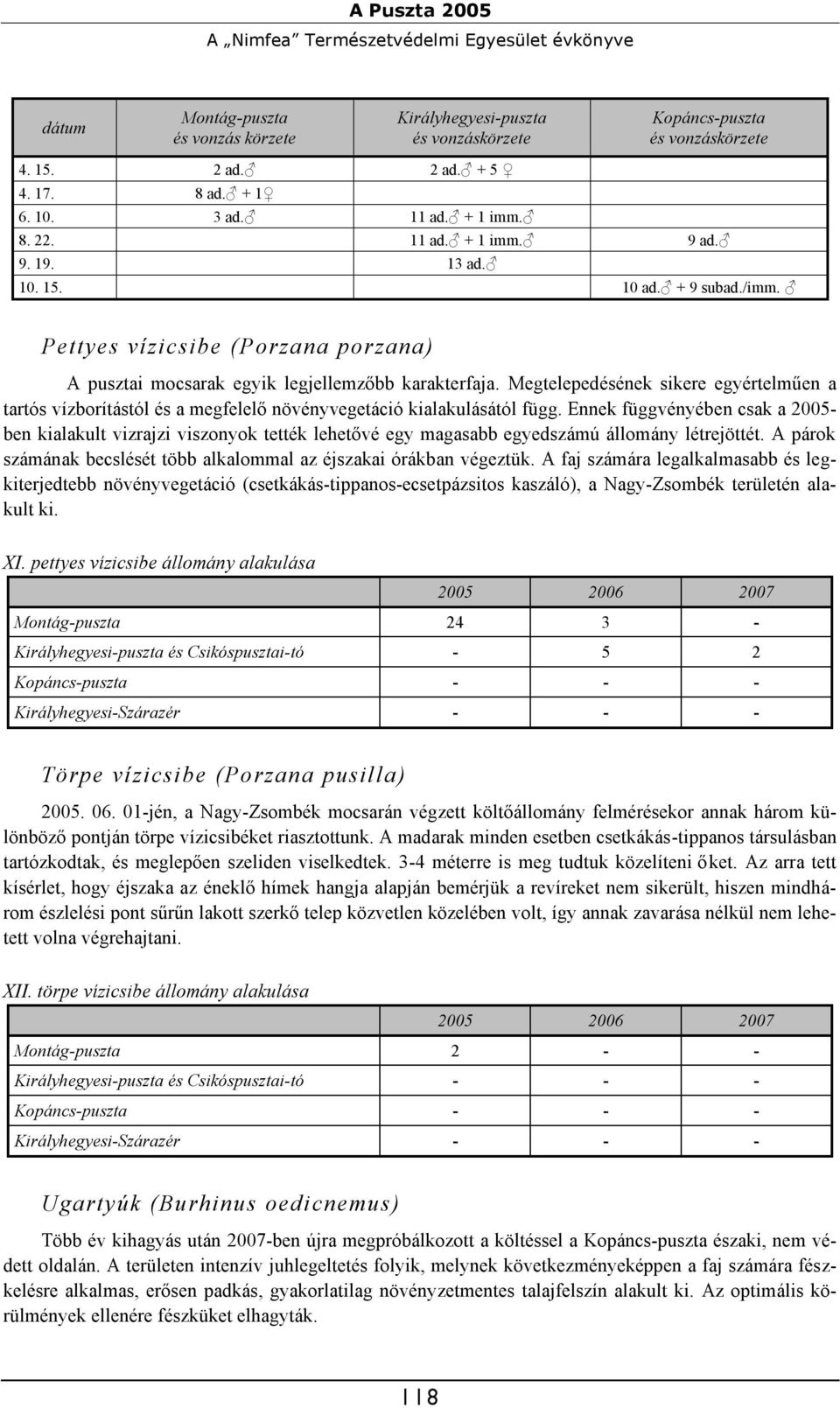 Pettyes vízicsibe (Porzana porzana) A pusztai mocsarak egyik legjellemzőbb karakterfaja. Megtelepedésének sikere egyértelműen a tartós vízborítástól és a megfelelő növényvegetáció kialakulásától függ.