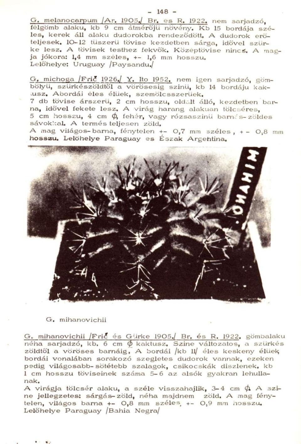 michoga /Fri<? 1926./ Y. lto 1952. nem igen sarjadzó, gömbölyű, szürkészöldtől a vörösesig színű, kb 14 bordájú kaktusz. Abordái éles élűek, szemölcsszerűek.