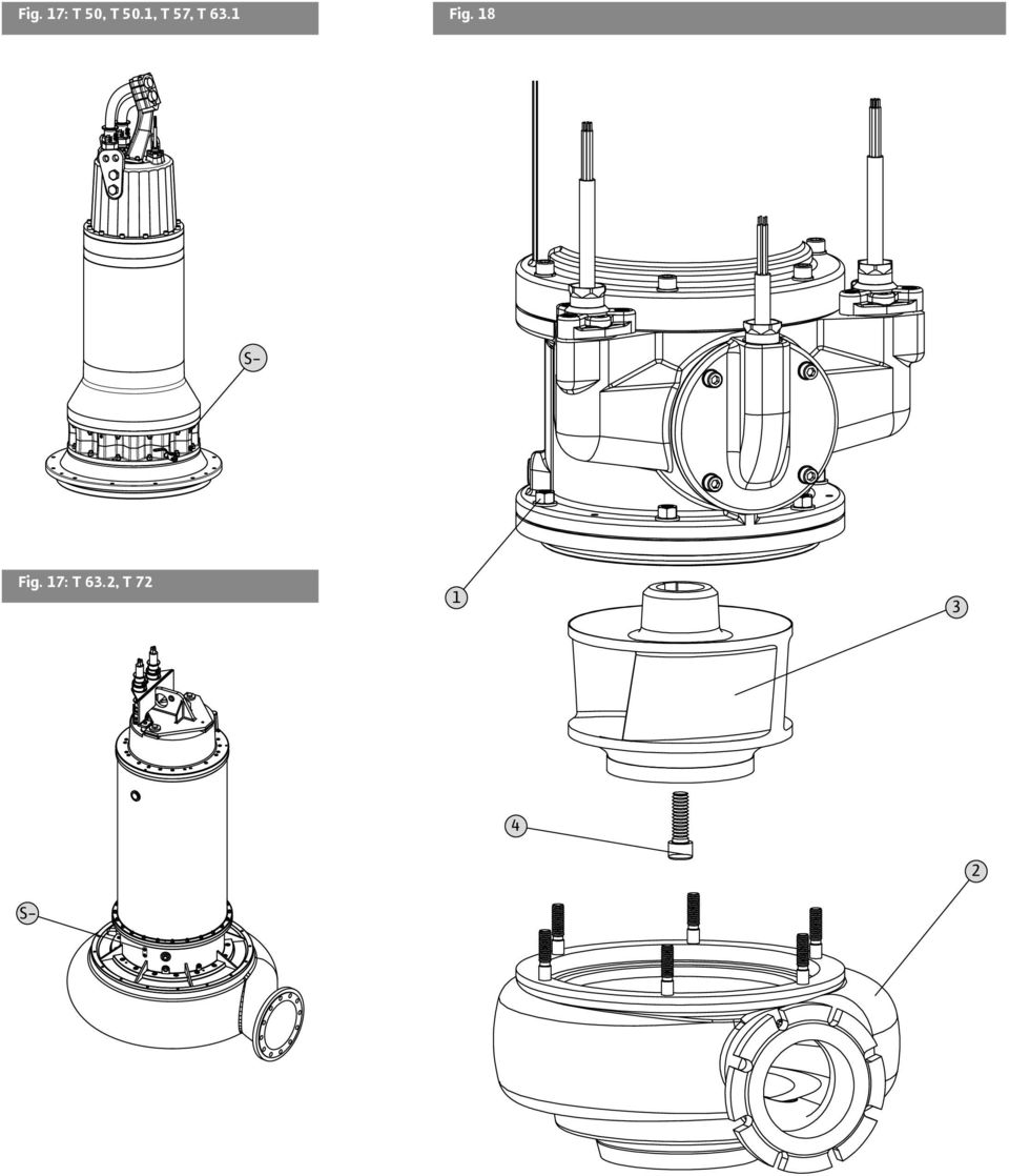 18 S- Fig. 17: T 63.