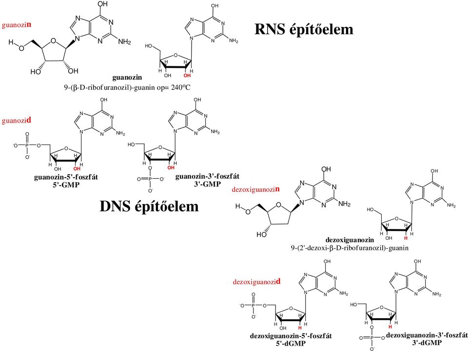 3'-GM dezoxiguanozin 2 dezoxiguanozin 9-(2'-dezoxi-β-D-ribofuranozil)-guanin 2