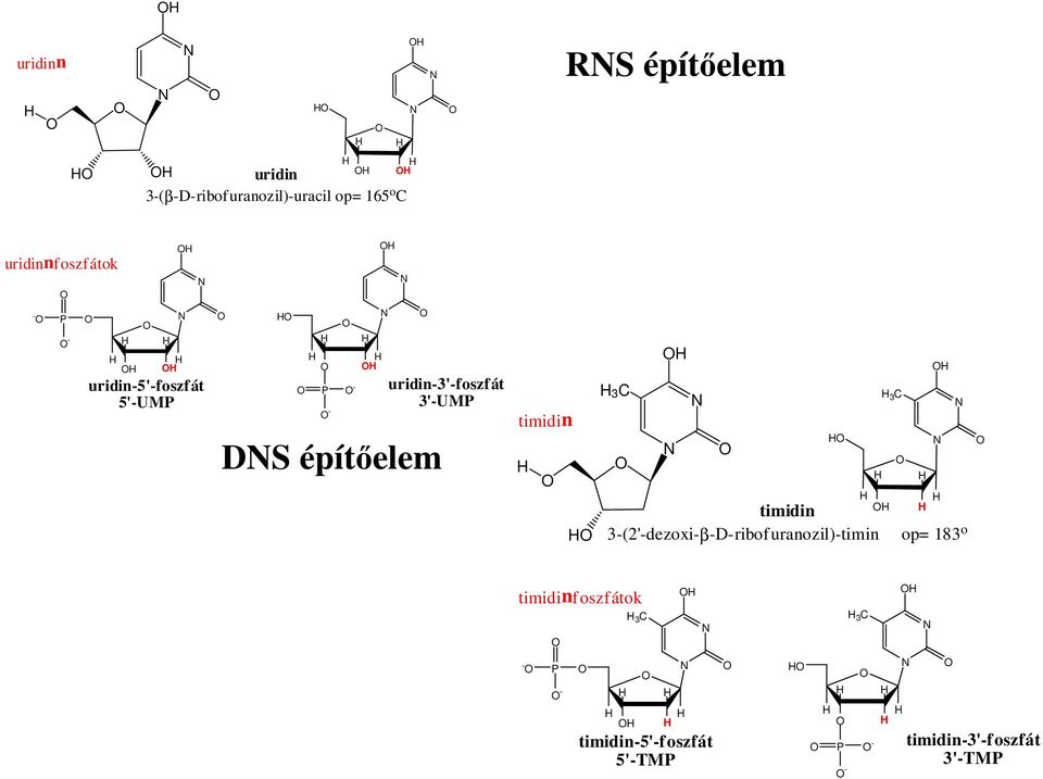 uridin-3'-foszfát 3'-UM timidin 3 3 timidin