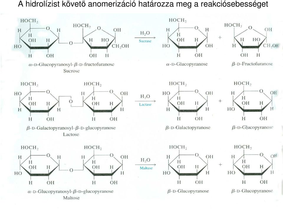 anomerizáció