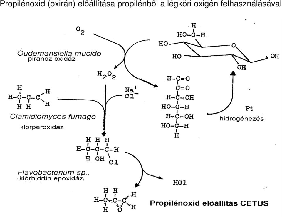 előállítása