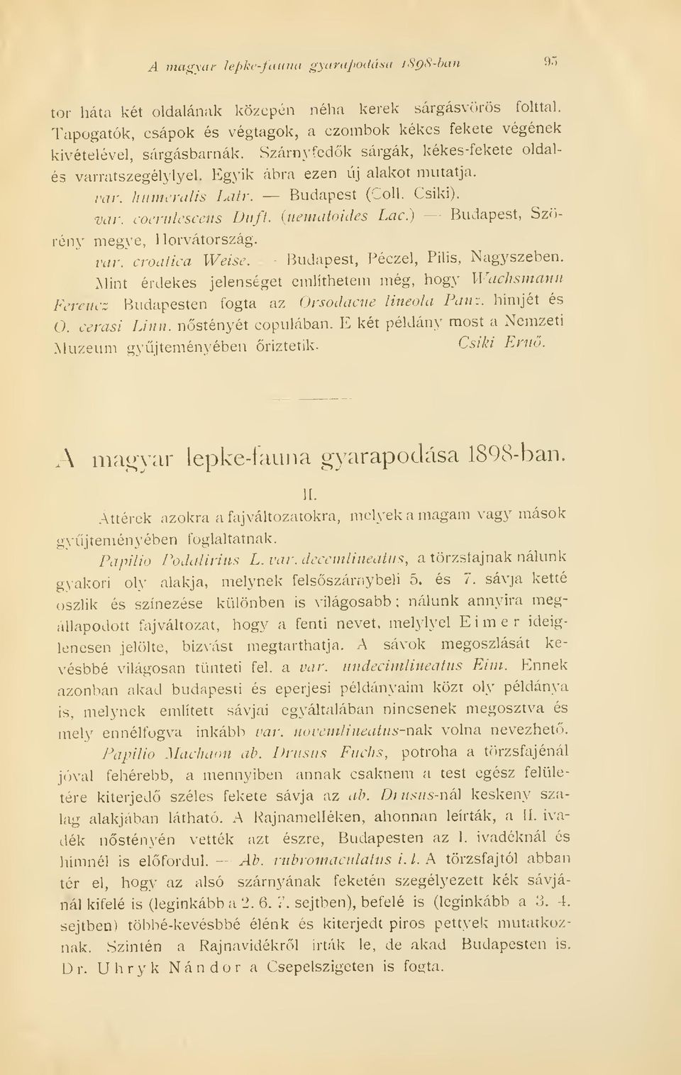 ) Budapest, Szörény megye, Horvátország. var. croaiica Weise. Budapest, Péczel, Pilis, Nagyszeben.