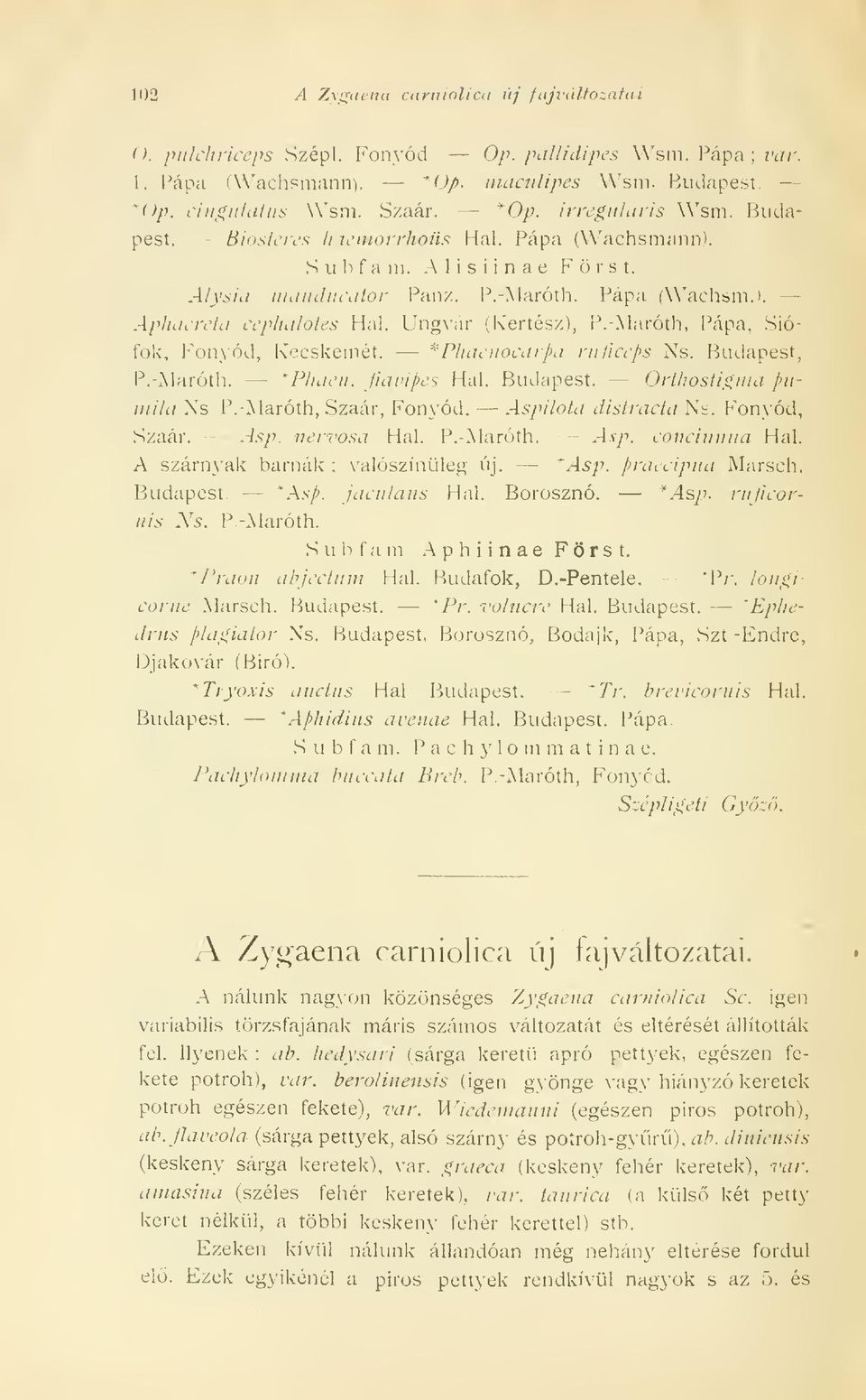 Ungvár (Kertész), P.-Maróth, Pápa,.Siófok', Fonyód, Kecskemét. '^Phacnocarpii riificcps Ns. Budapest, P.-Marótli. *Pliacu. Jiavipcs Hal. Budapest. Orthostigma puiiii/a Xs P.-Maróth, Szaár, Fonyód.