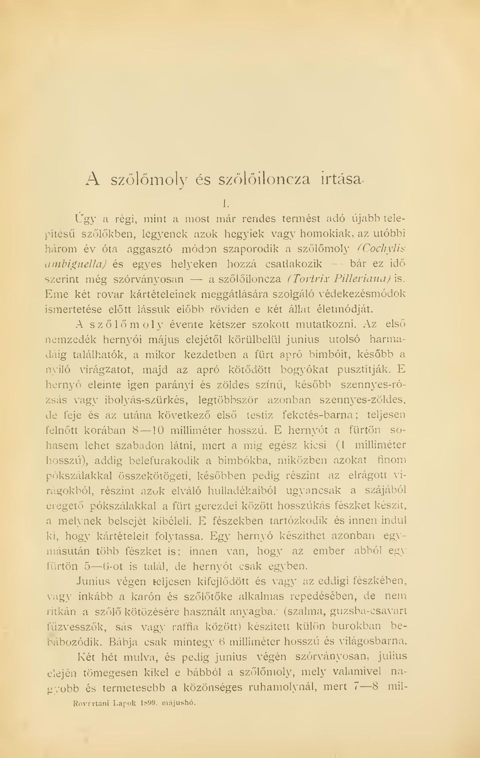 egyes helyeken hozzá csatlakozik bár ez id szerint még szórványosan a szliloncza (Tortrix Pilleriana) is.