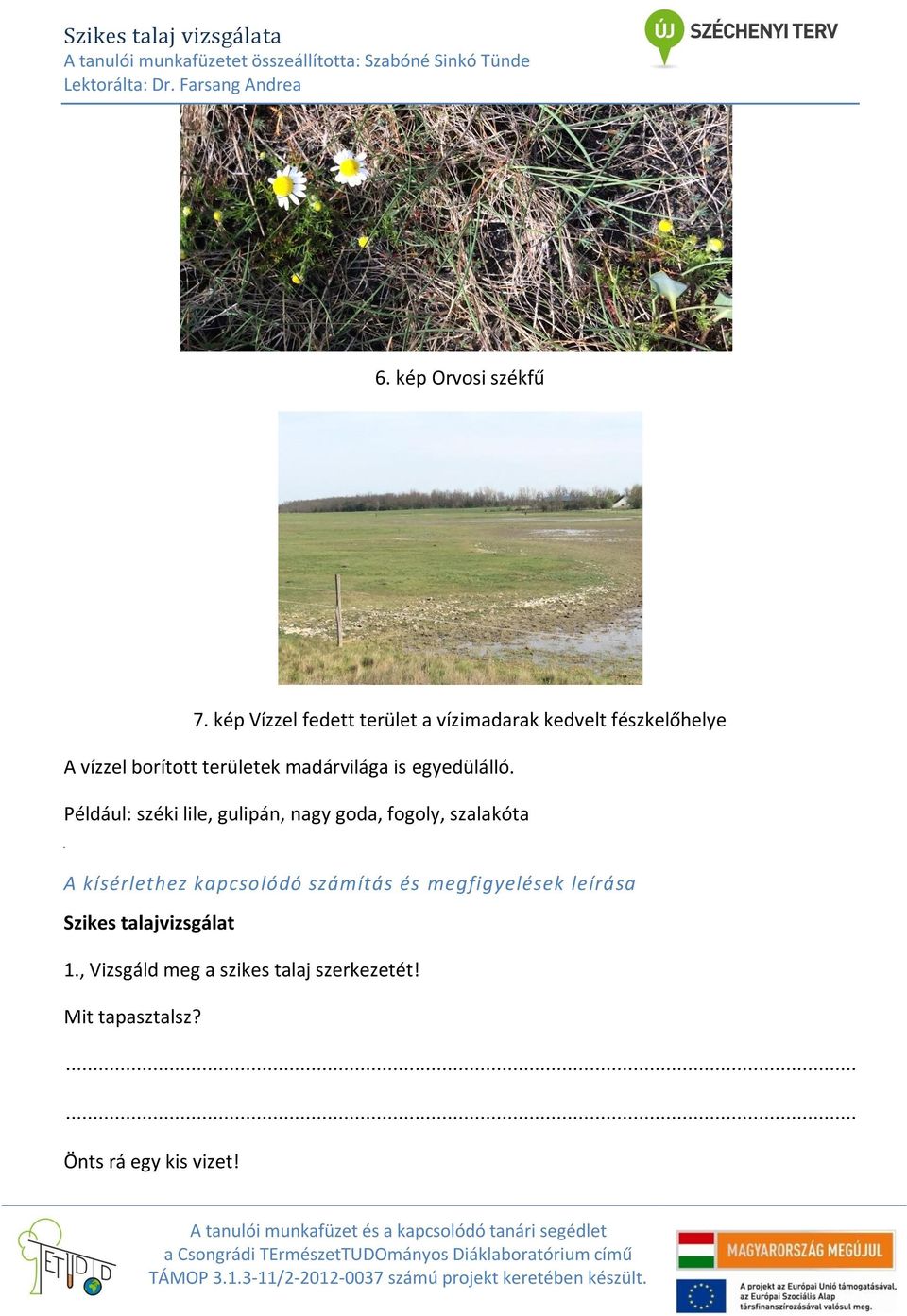 madárvilága is egyedülálló.