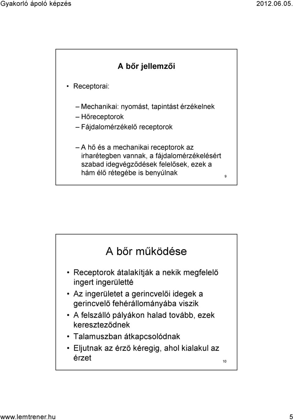 működése Receptorok átalakítják a nekik megfelelő ingert ingerületté Az ingerületet a gerincvelői idegek a gerincvelő fehérállományába