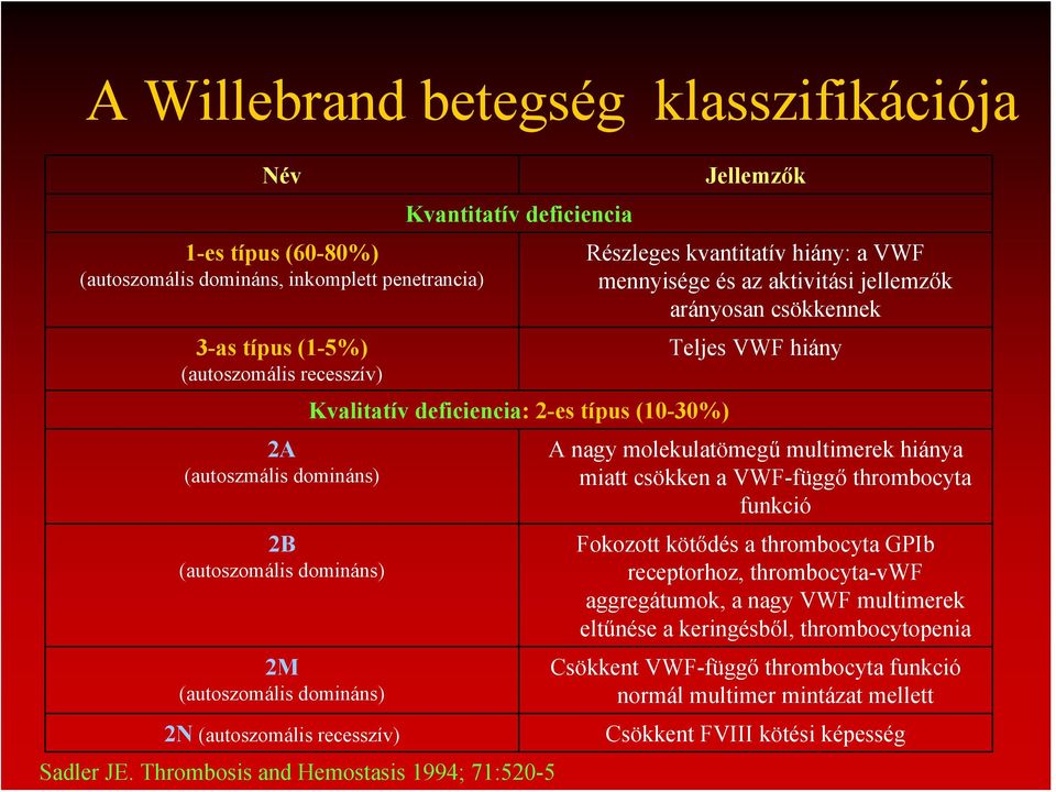 Thrombosis and Hemostasis 1994; 71:520-5 Jellemzők Részleges kvantitatív hiány: a VWF mennyisége és az aktivitási jellemzők arányosan csökkennek Teljes VWF hiány A nagy molekulatömegű multimerek