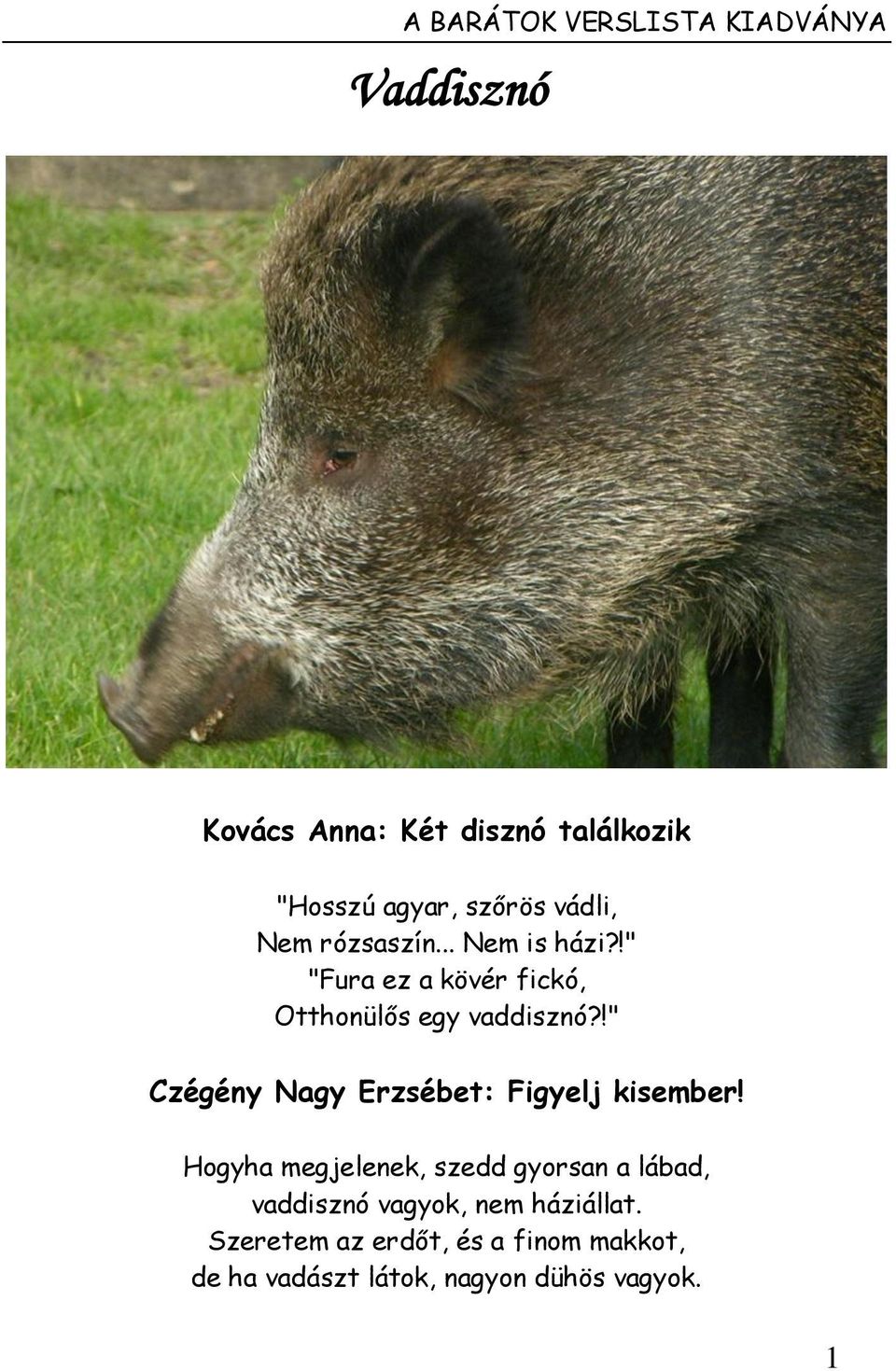 !" Czégény Nagy Erzsébet: Figyelj kisember!