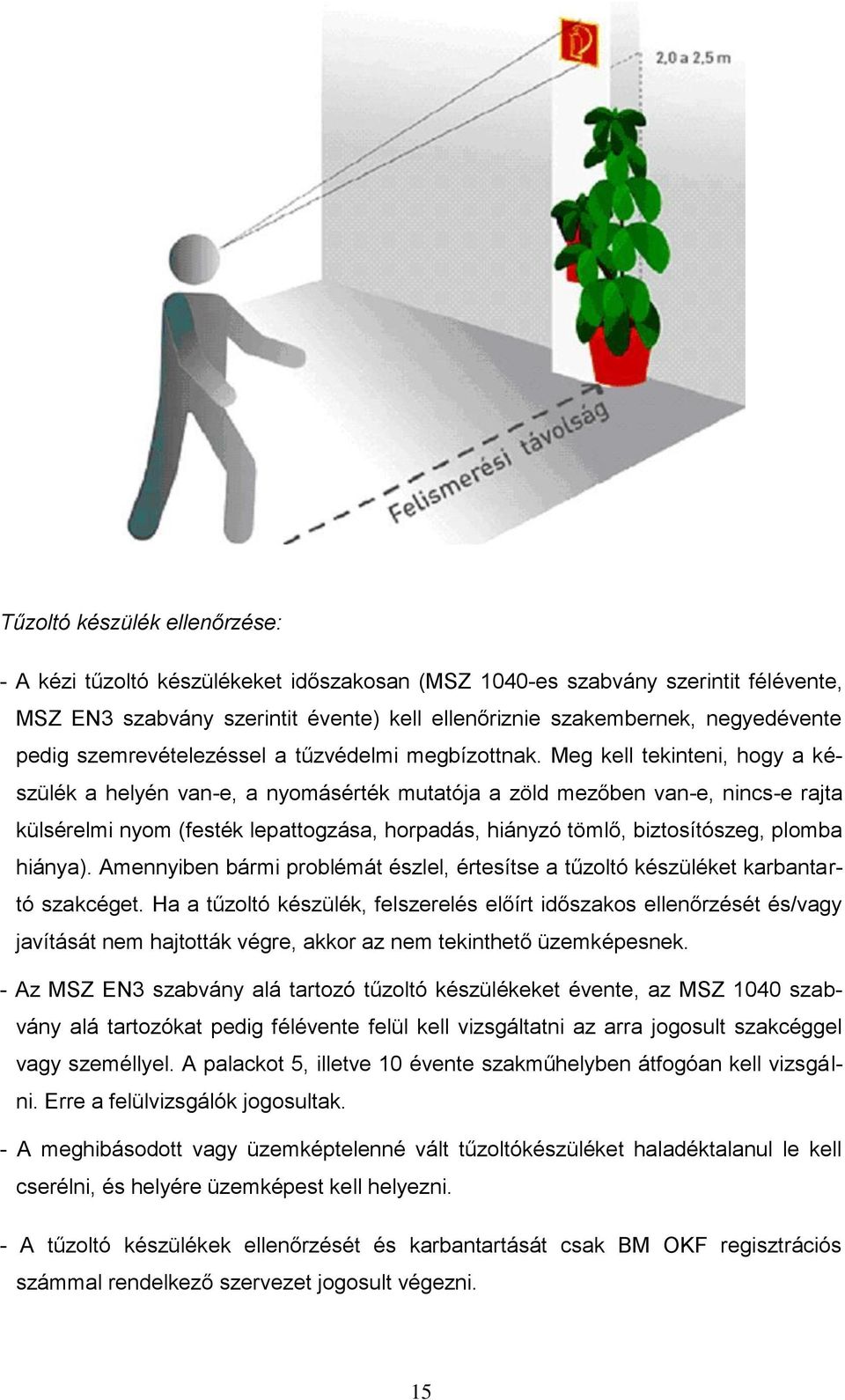 Meg kell tekinteni, hogy a készülék a helyén van-e, a nyomásérték mutatója a zöld mezőben van-e, nincs-e rajta külsérelmi nyom (festék lepattogzása, horpadás, hiányzó tömlő, biztosítószeg, plomba