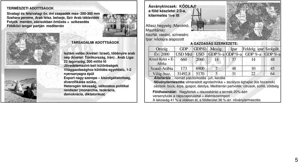 Törökország, Irán), Arab Liga: 22 tagország, 200 millió fı Jövedelemszint-beli különbségek Világgazdasághoz kötıdés egyoldalú, 1-2 nyersanyagra épül Export nagy szerepe kiszolgáltatottság,