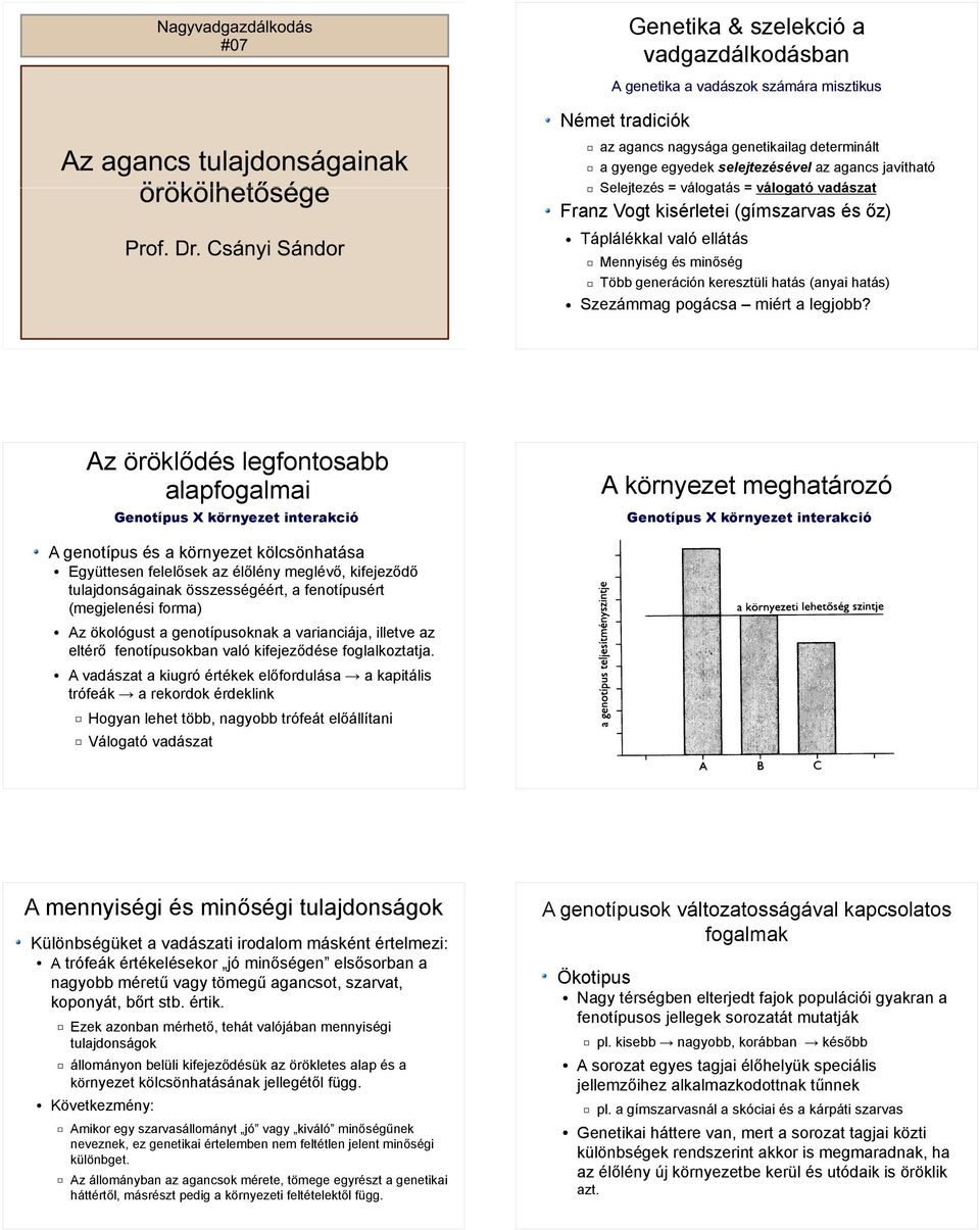 Az öröklődés legfontosabb alapfogalmai Genotípus X környezet interakció A környezet meghatározó Genotípus X környezet interakció A genotípus és a környezet kölcsönhatása Együttesen felelősek az