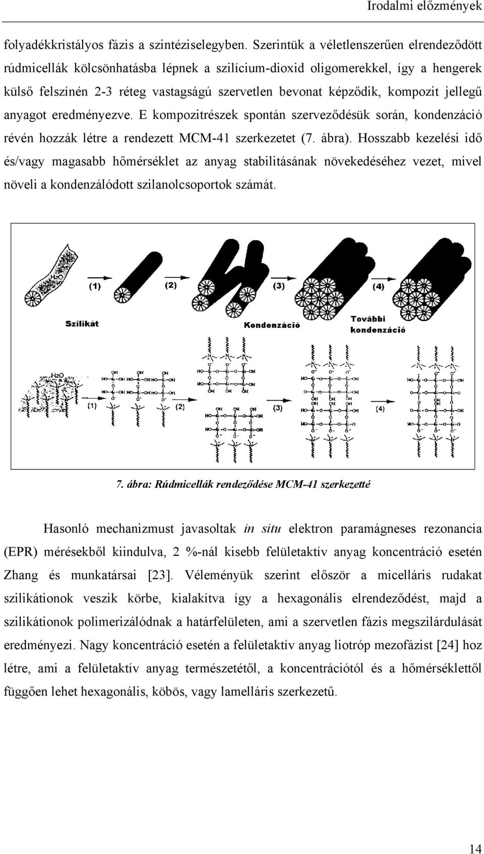 jellegű anyagot eredményezve. E kompozitrészek spontán szerveződésük során, kondenzáció révén hozzák létre a rendezett MCM-41 szerkezetet (7. ábra).