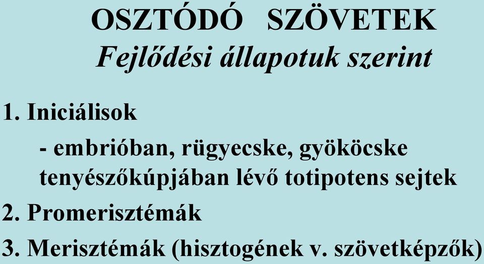 gyököcske tenyészőkúpjában lévő totipotens