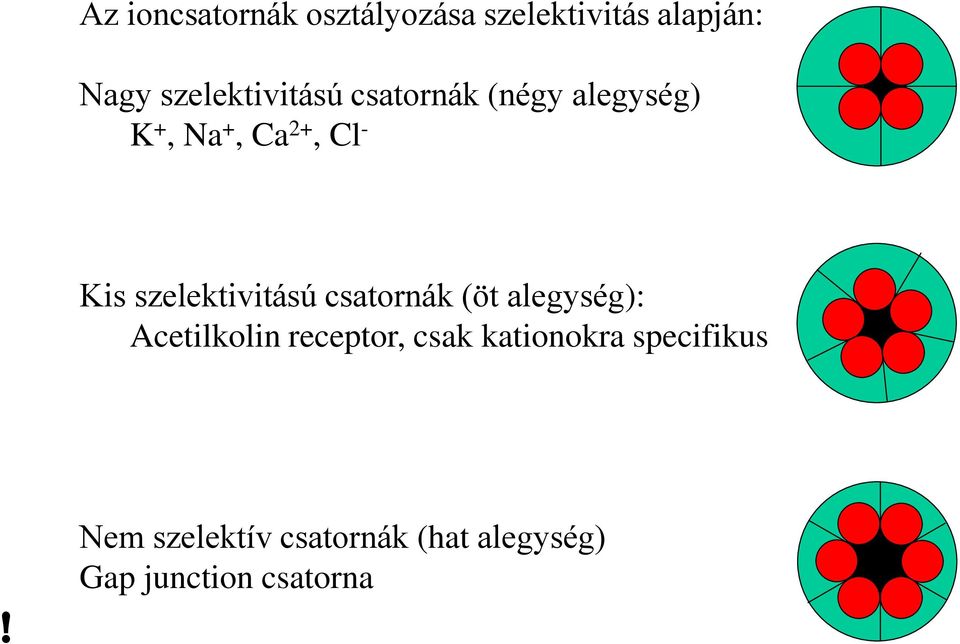 szelektivitású csatornák (öt alegység): Acetilkolin receptor, csak