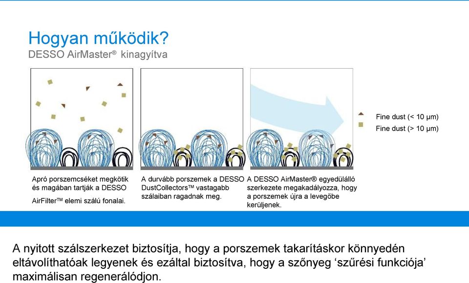 elemi szálú fonalai.