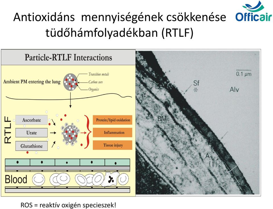 csökkenése