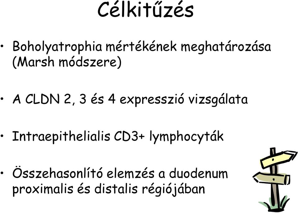 vizsgálata Intraepithelialis CD3+ lymphocyták