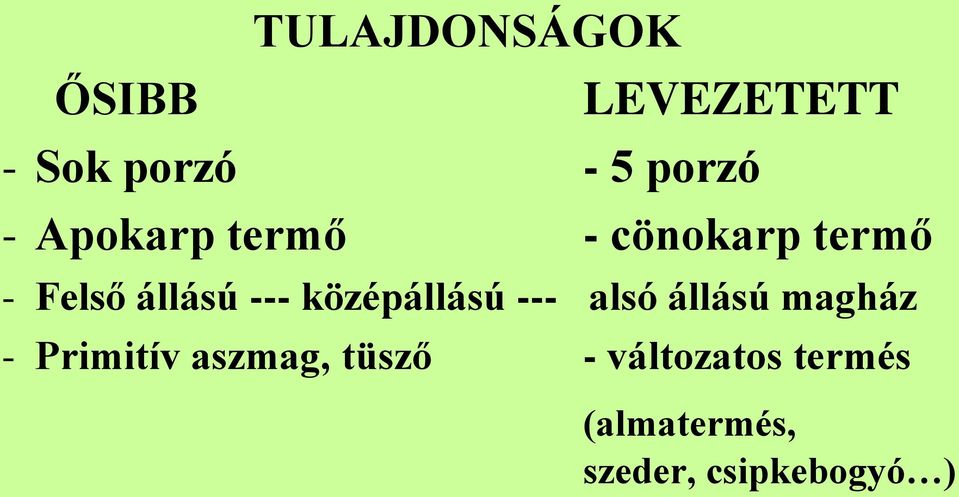 középállású --- alsó állású magház - Primitív aszmag,