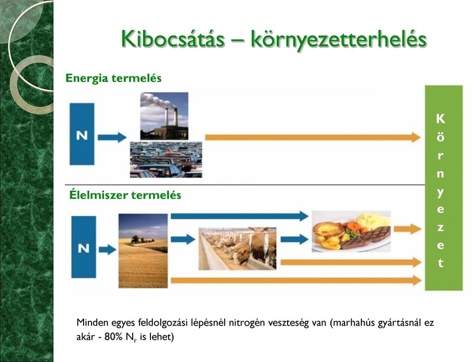 egyes feldolgozási lépésnél nitrogén veszteség