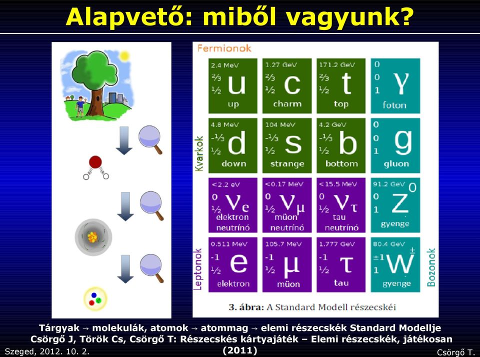 részecskék Standard Modellje Csörgő J, Török