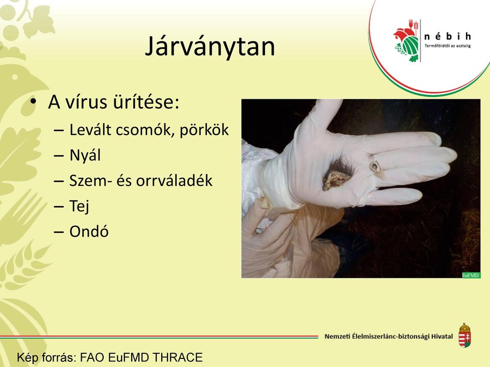 Szem- és orrváladék Tej