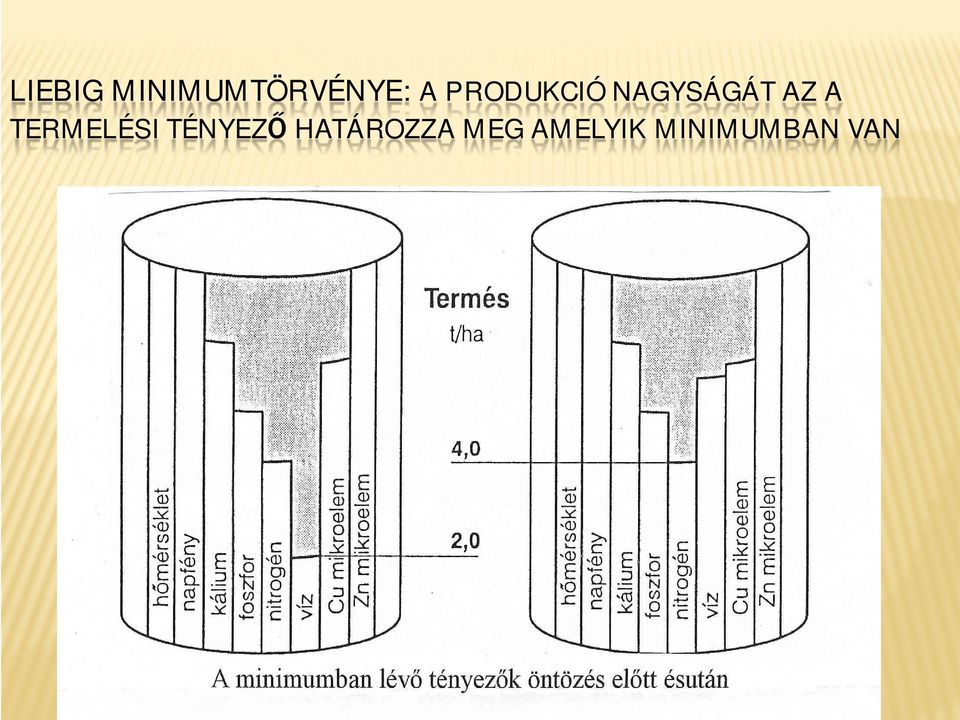 TERMELÉSI TÉNYEZŐ